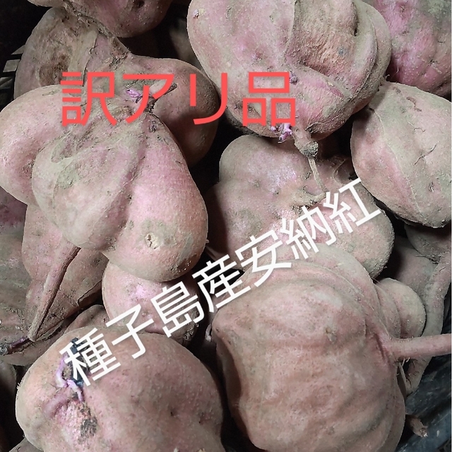 訳アリ品　種子島産安納紅　　　　　2S~Lサイズ混合5キロ 食品/飲料/酒の食品(野菜)の商品写真