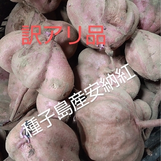 訳アリ品　種子島産安納紅　　　　　2S~Lサイズ混合5キロ(野菜)