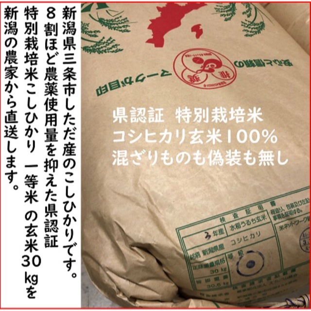 減農薬こしひかり玄米30kg 新潟県三条市旧しただ村産 特別栽培米100