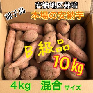 もうすぐ販売終了です！種子島　農家直送！安納地区の安納芋　混合 10㎏(野菜)