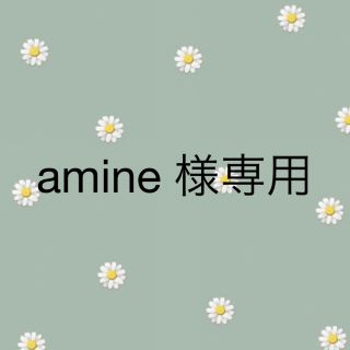 amine 様専用(ドライフラワー)