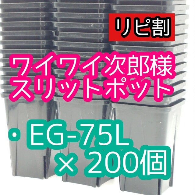 ワイワイ次郎様 スリットポット ハンドメイドのフラワー/ガーデン(プランター)の商品写真