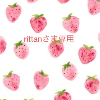 rittanさま専用(バッグ/レッスンバッグ)