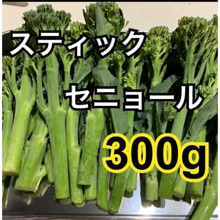 スティックセニョール　300g(野菜)