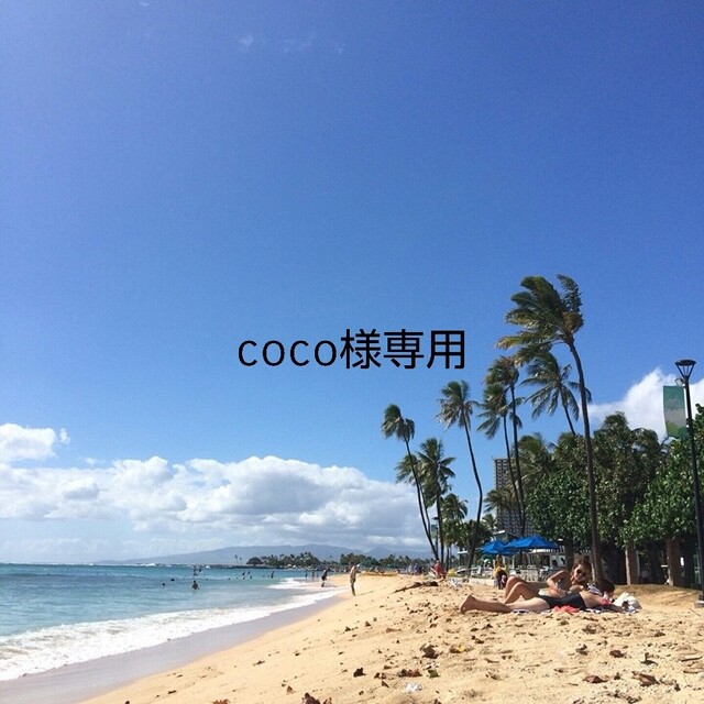 訳有りB品⑱　coco様専用 セット エンタメ/ホビーのおもちゃ/ぬいぐるみ(ぬいぐるみ)の商品写真