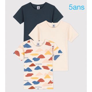 プチバトー(PETIT BATEAU)のプチバトー　新品　半袖　Tシャツ　３枚組　5ans/110cm(Tシャツ/カットソー)