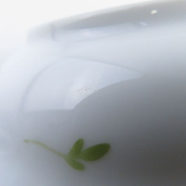 Herend - Herend ヘレンド ウィーンの薔薇 VRHS/339 小皿 2枚 Herend - Herend ヘレンド ウィーンの薔薇 VRHS/339 小皿 2枚