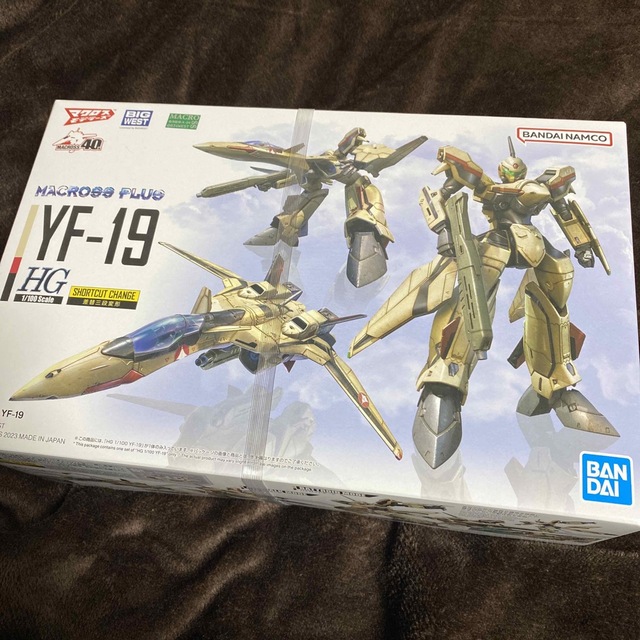 HG YF-19