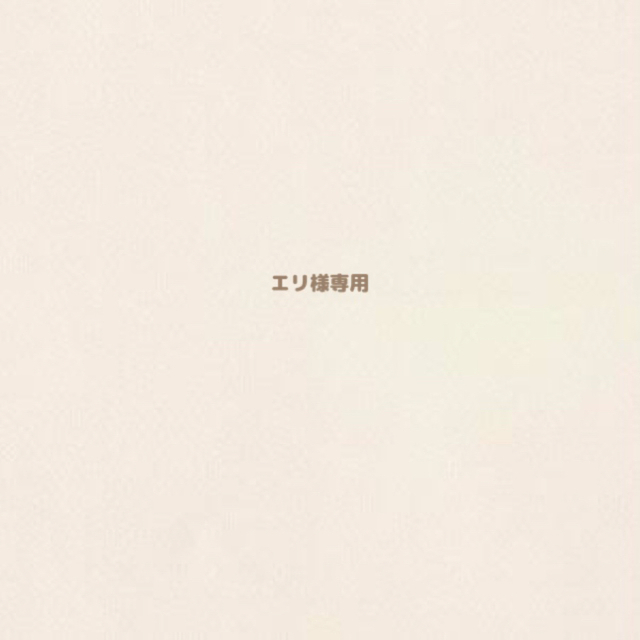 非常に高い品質 エリ様 専用 その他 - www.mahweb.com