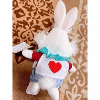 値下げ ディズニーリゾート 白うさぎ