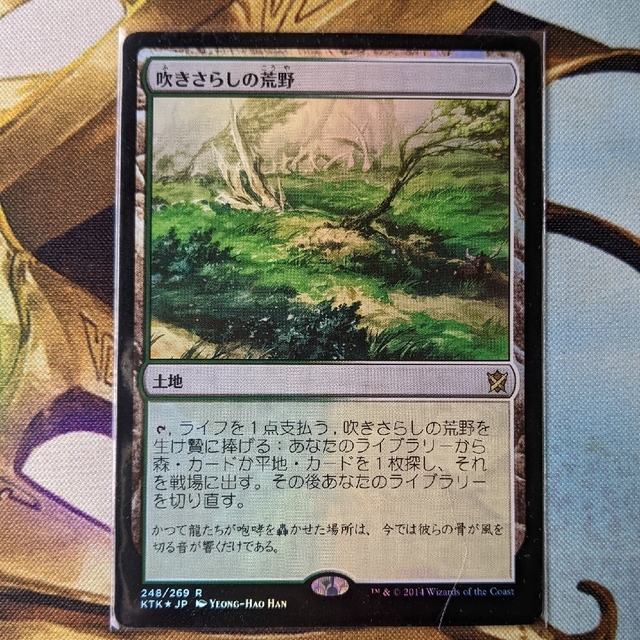 MTG 吹きさらしの荒野 Windswept Heath 日本語版 4枚 NM - マジック