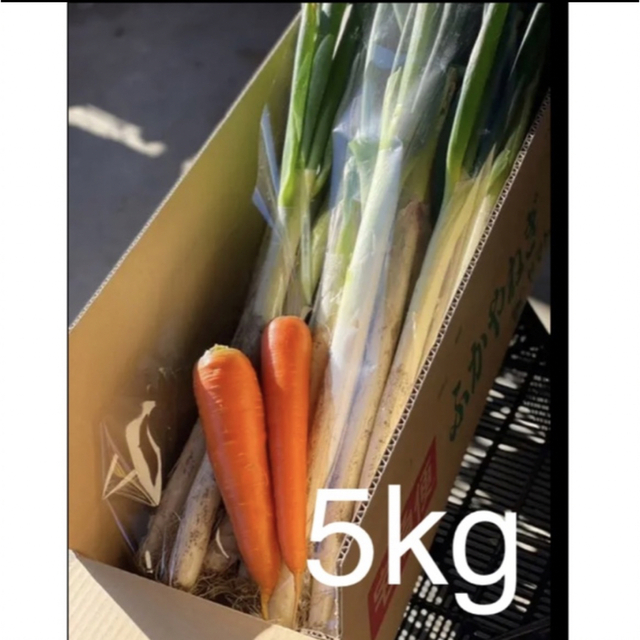 深谷ネギ　5kg  食品/飲料/酒の食品(野菜)の商品写真