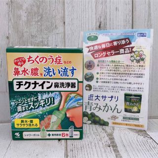 コバヤシセイヤク(小林製薬)の【新品未使用】小林製薬 チクナイン 鼻洗浄器　蓄膿症　ちくのう症(その他)