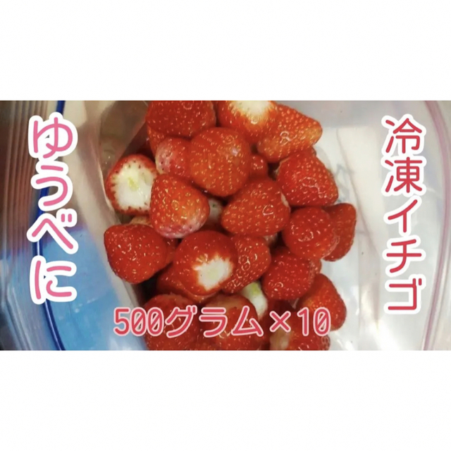 冷凍ゆうべにイチゴ5キロ →500g✖10個 送料込7200円