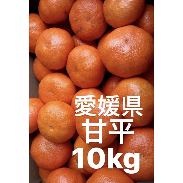 10kg　愛媛県産　新色追加　甘平　柑橘