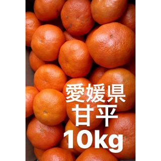 愛媛県産　甘平　柑橘　10kg(フルーツ)