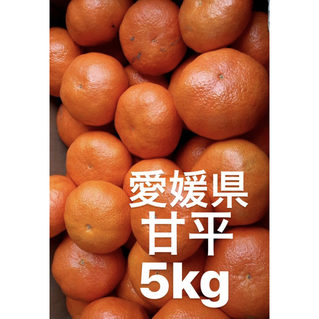 フルーツ　愛媛県産　5kg　甘平　柑橘