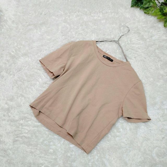 国内最安値! Tシャツ ショート丈 無地
