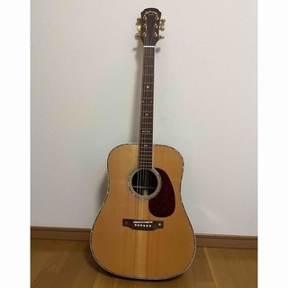 Aria pro Ⅱ Legendストラトタイプギター 楽器 ギター