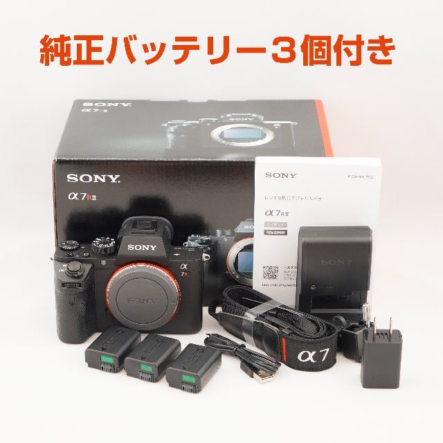 SONY ILCE−7RM2 ILCE-7RM2 バッテリー×6 +オマケ多数-