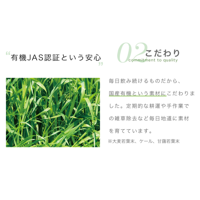 ＊mukii＊ベジホリック＊青汁＊１箱＊ミューキー＊田中みな実＊ 食品/飲料/酒の健康食品(青汁/ケール加工食品)の商品写真