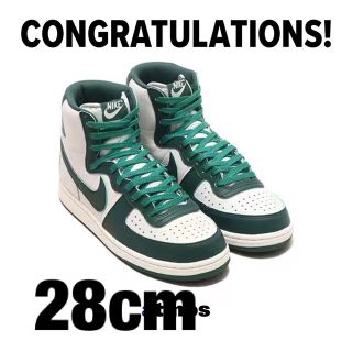 ナイキ(NIKE)のNike Terminator High Noble Green28 cm(スニーカー)