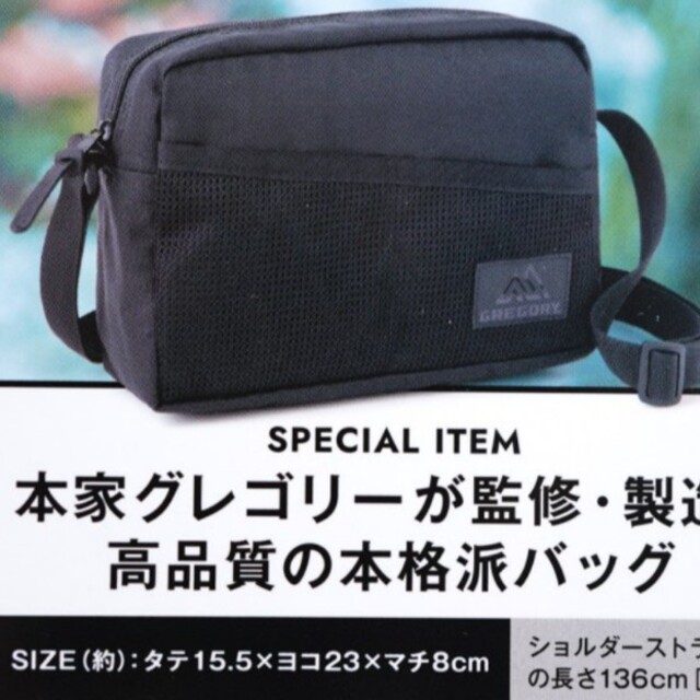 【ラス①】GREGORY SHOULDER BAG