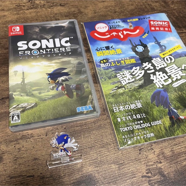 海外 ソニックフロンティア Switch版 初回生産特典コード未使用 fawe.org