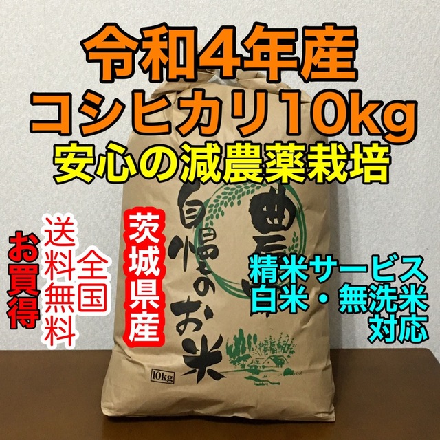 新米コシヒカリ10kg茨城産◉無洗米・白米対応