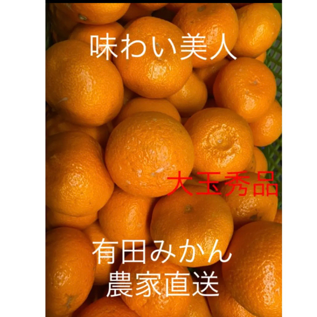 有田みかん農家直送🌟味わい美人　大玉秀品箱込み10キロ 食品/飲料/酒の食品(フルーツ)の商品写真