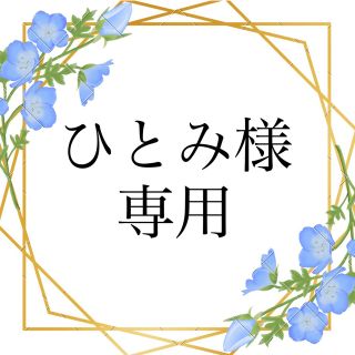 ひとみ様専用　ネモフィラ　種　4種(その他)