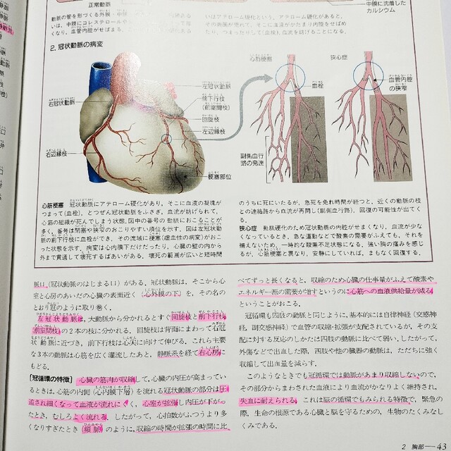 講談社(コウダンシャ)のからだの地図帳 Human Body 医学 看護 エンタメ/ホビーの本(健康/医学)の商品写真