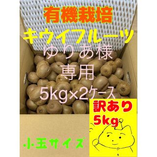 【ゆりあ様専用】キウイ10kg(フルーツ)