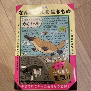 【いま1216さま】図解なんかへんな生きもの(アート/エンタメ)