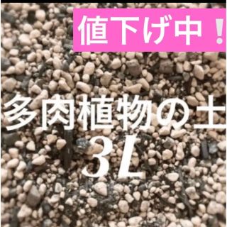 値下げ中❣️多肉植物　サボテンの土　約3リットル 即購入歓迎❣️(その他)