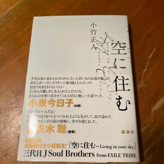 コウダンシャ(講談社)の空に住む　小竹正人　(文学/小説)