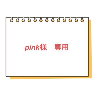 pink様　専用(スクールシューズ/上履き)