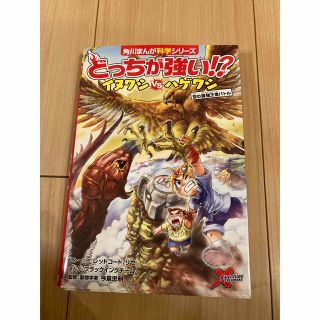 どっちが強い！？イヌワシｖｓハゲワシ 空の最強王者バトル(人文/社会)