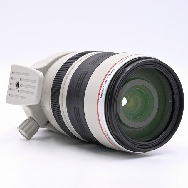CANON EF28-300mm F3.5-5.6L IS USM 6