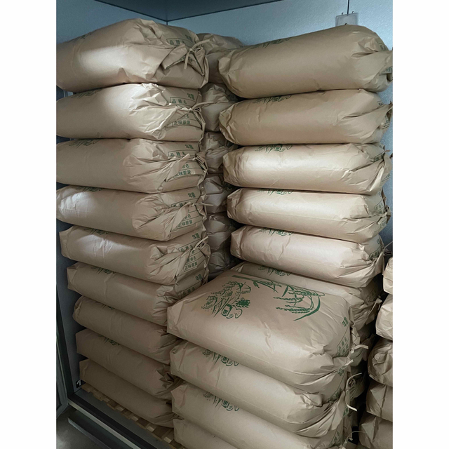 【国際ブランド】 新米できました 茨城産純こしひかり米 25kg