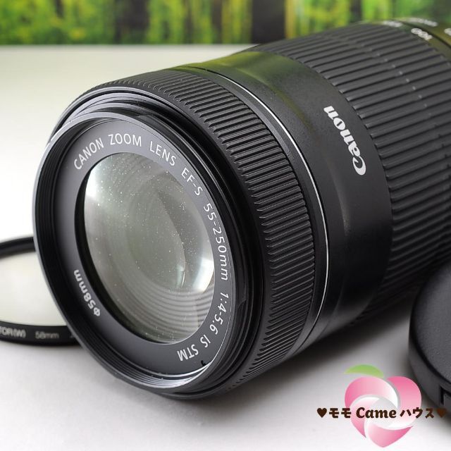 Canon EF-S 55-250㎜ IS STM☆新型望遠レンズ