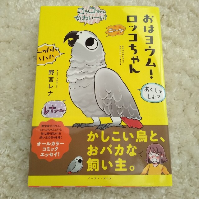 おはヨウム！ロッコちゃん エンタメ/ホビーの漫画(その他)の商品写真