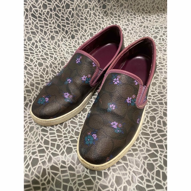 COACH - coachコーチ「シグネチャー柄&花が可愛いスニーカー