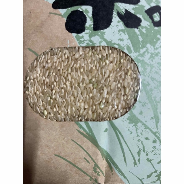 2022年産ヒノヒカリ玄米20 ｋｇ 【送料無料】 食品/飲料/酒の食品(米/穀物)の商品写真