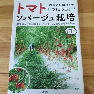 トマトソバージュ栽培 わき芽を伸ばして力を引き出す(科学/技術)