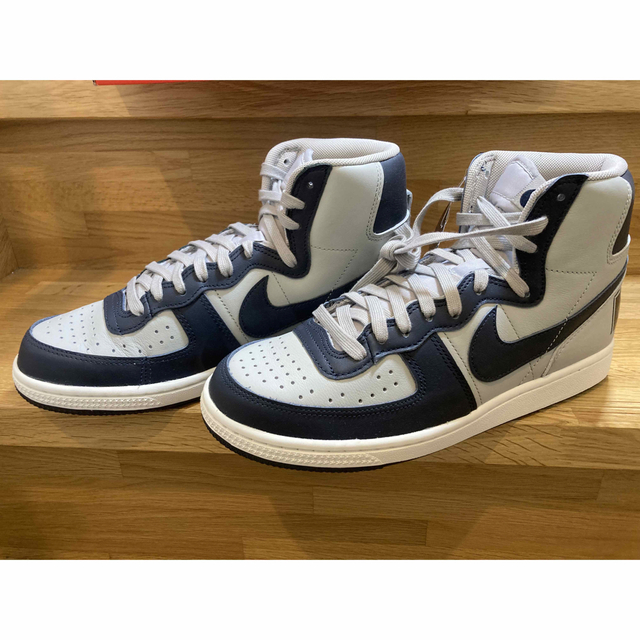 Nike Terminator High Georgetown 30cm