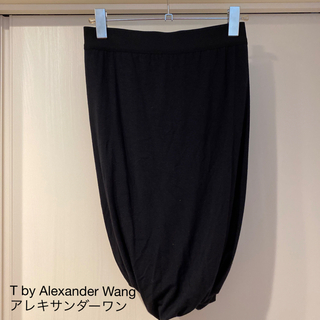 ティーバイアレキサンダーワン(T by Alexander Wang)のT by Alexander Wangアレキサンダーワン　スカート サイズXS(ひざ丈スカート)