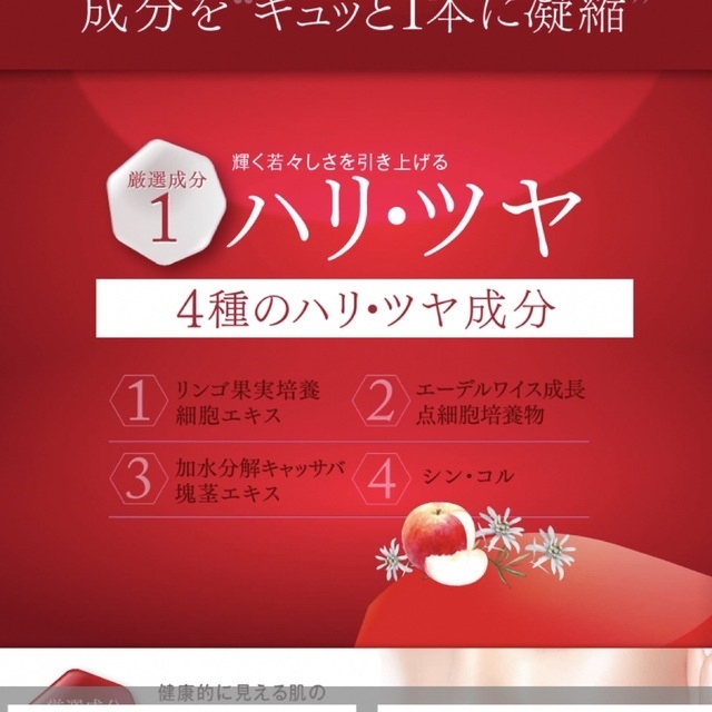エニシー エクリア ルフェルクリーム 2本 値下げ時間