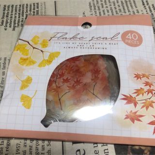 キャンドゥ フレークシール 秋の風景柄 紅葉&木の実 2点セット