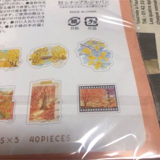 キャンドゥ フレークシール 秋の風景柄 紅葉&木の実 2点セット